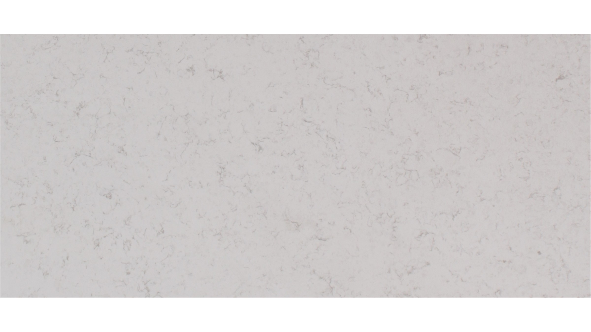 Blanca Statuarietto Quartz Slabs