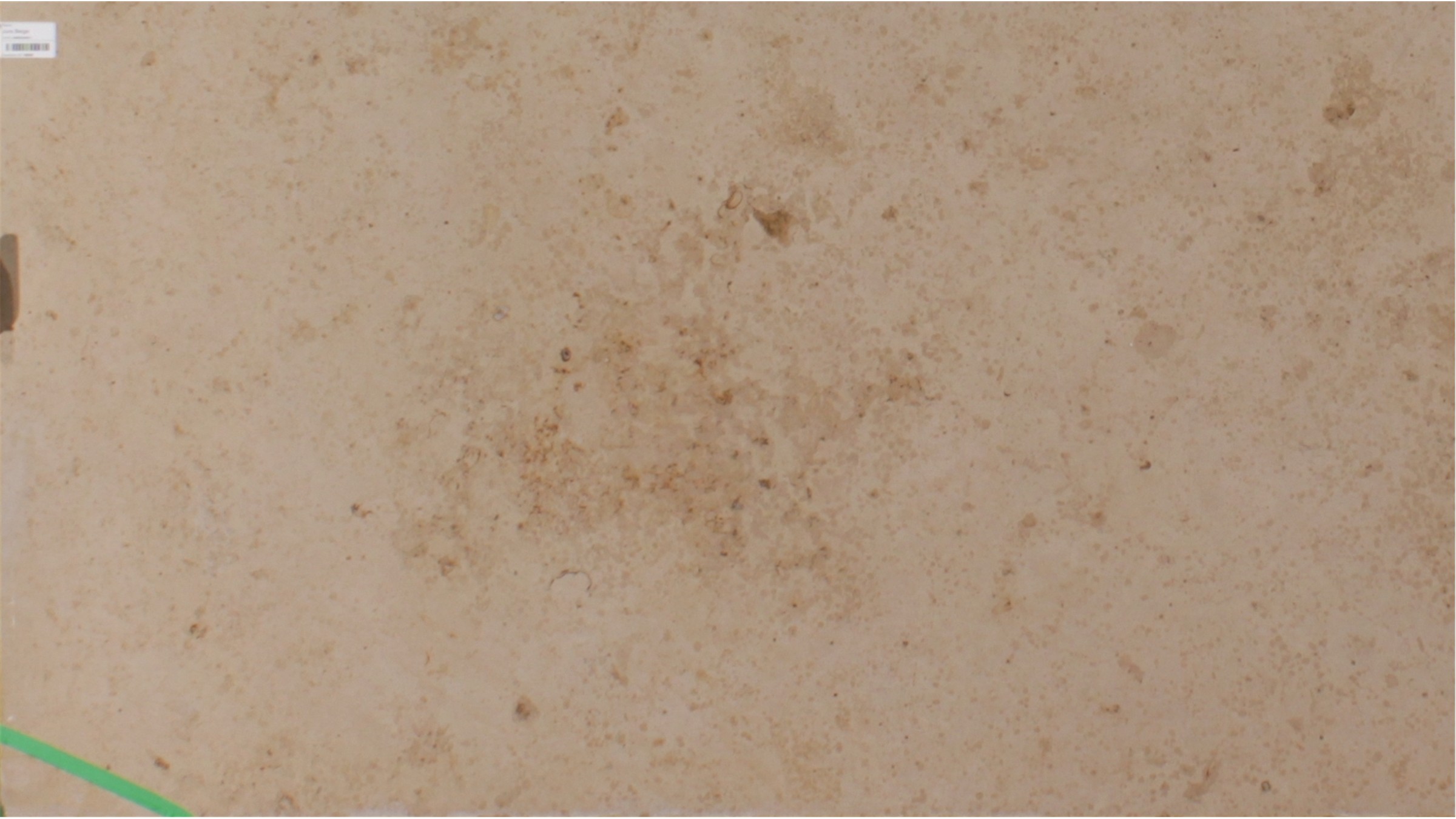 Jura Beige Marble Slabs