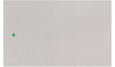 Carrara Classic Quartz