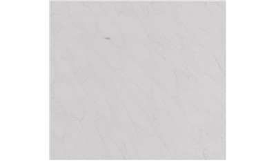 Calacatta Premata Quartz