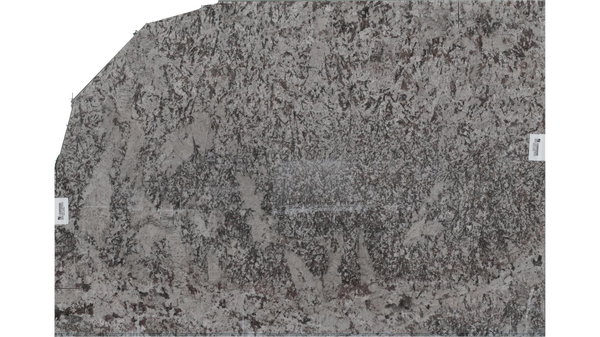 Bianco Antico Granite Slabs