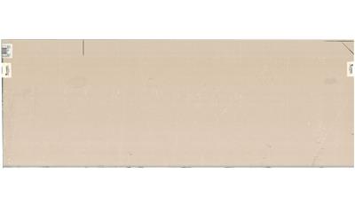 DESERT SILVER Quartz