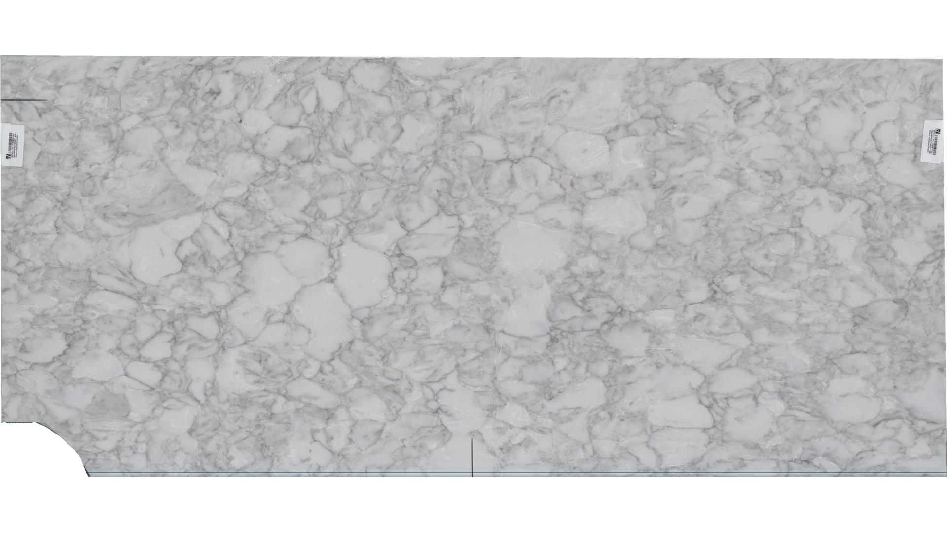 Calacatta ocellio Quartz Slabs