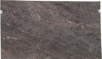 GREY PEARL Quartzite