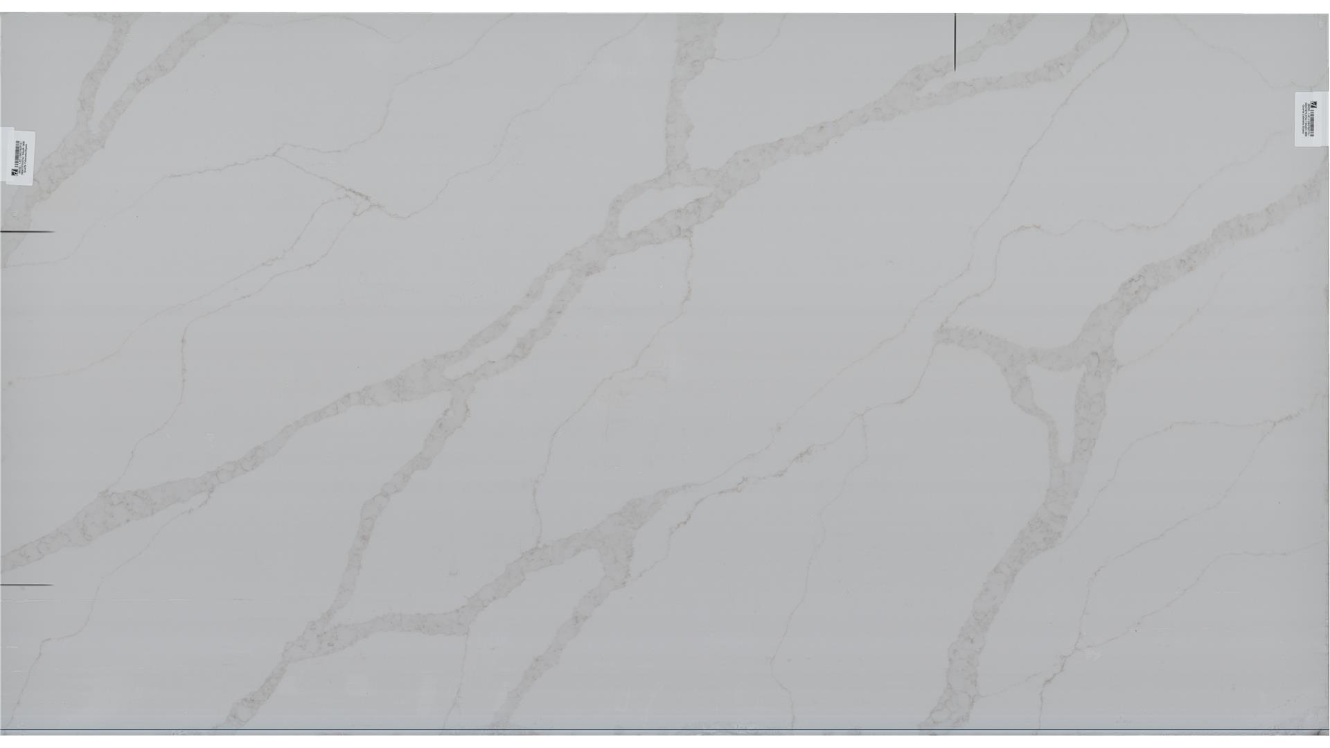 CALACATTA ELYSIO Quartz Slabs