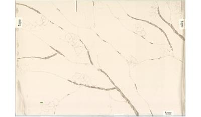 CALACATTA EXTRA Quartz