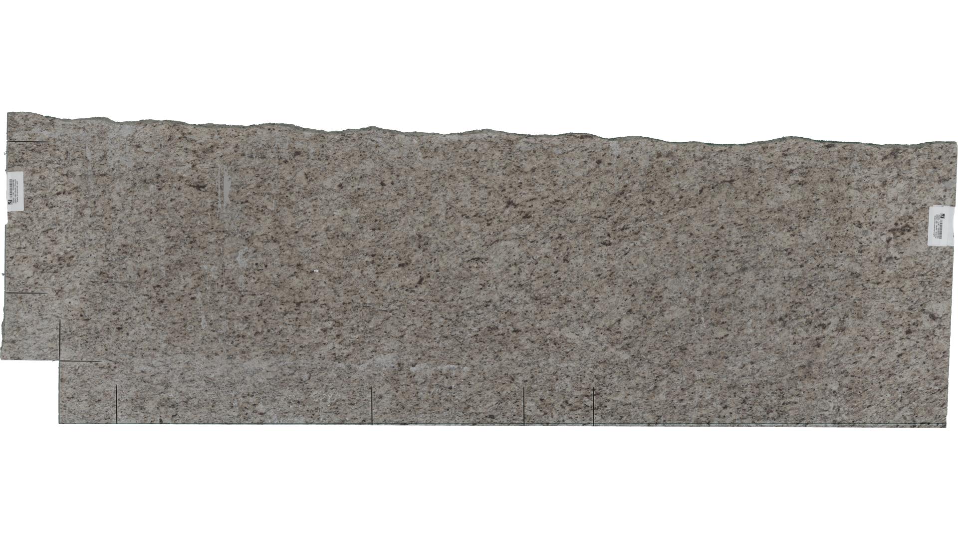 Giallo Ornamental Light Granite Slabs