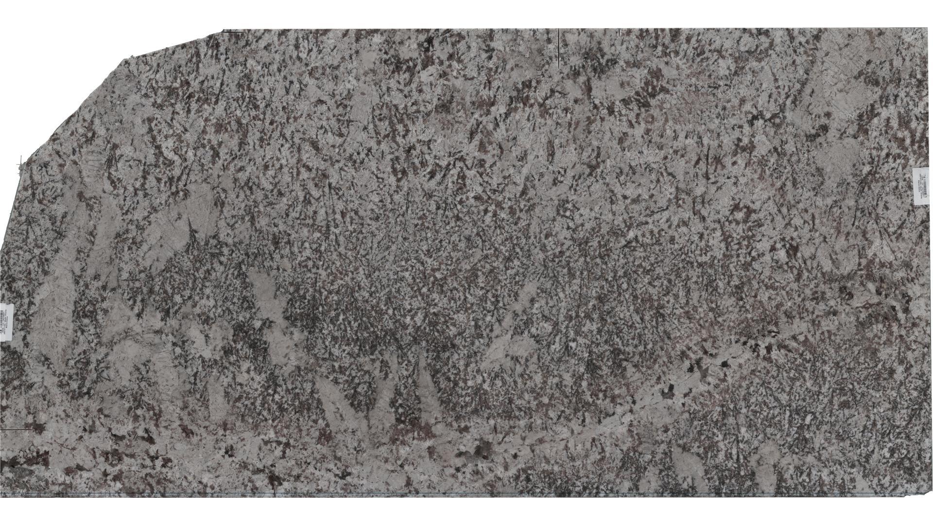 Bianco Antico Granite Slabs