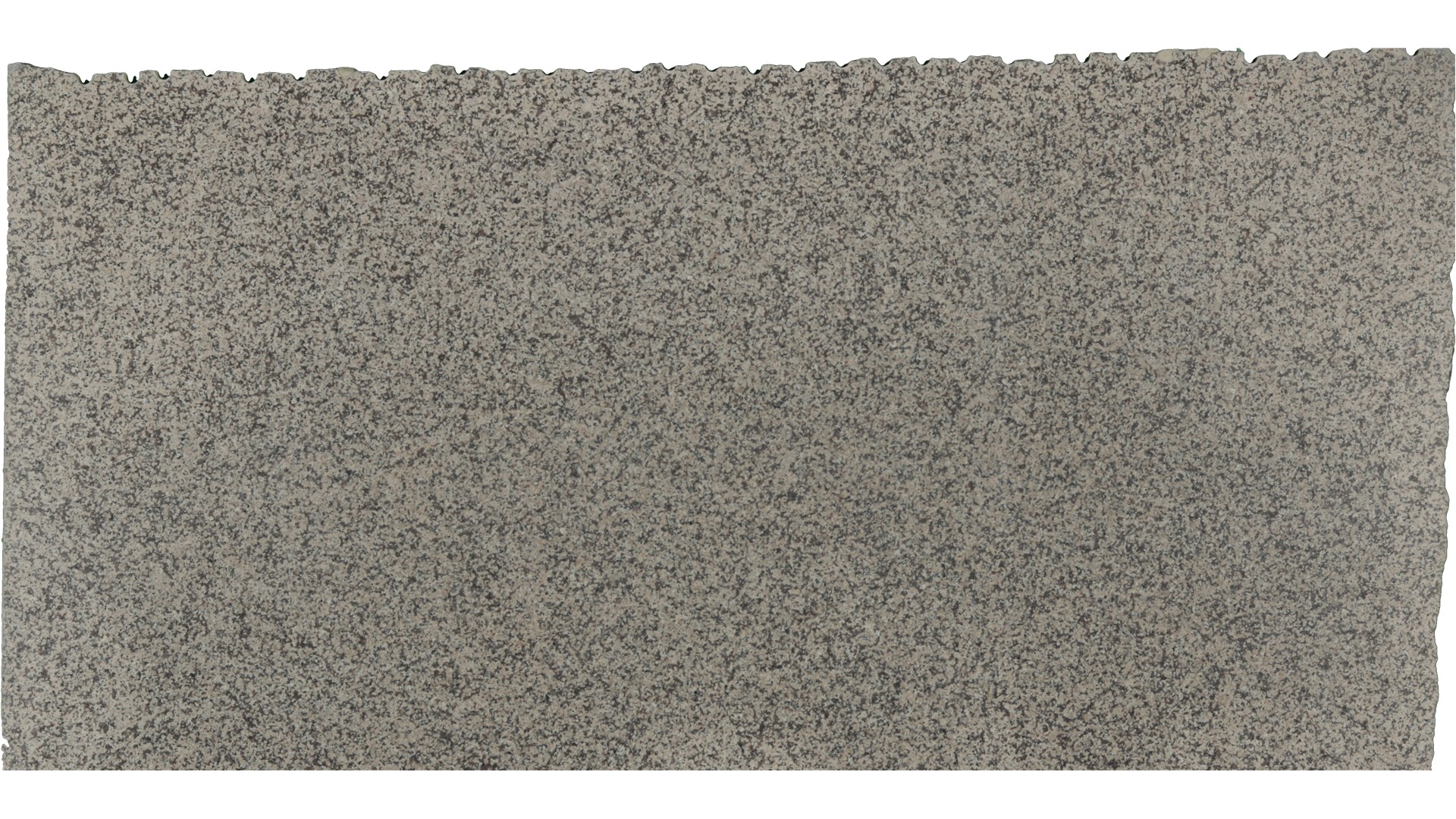 Crema Caramel Granite Slabs