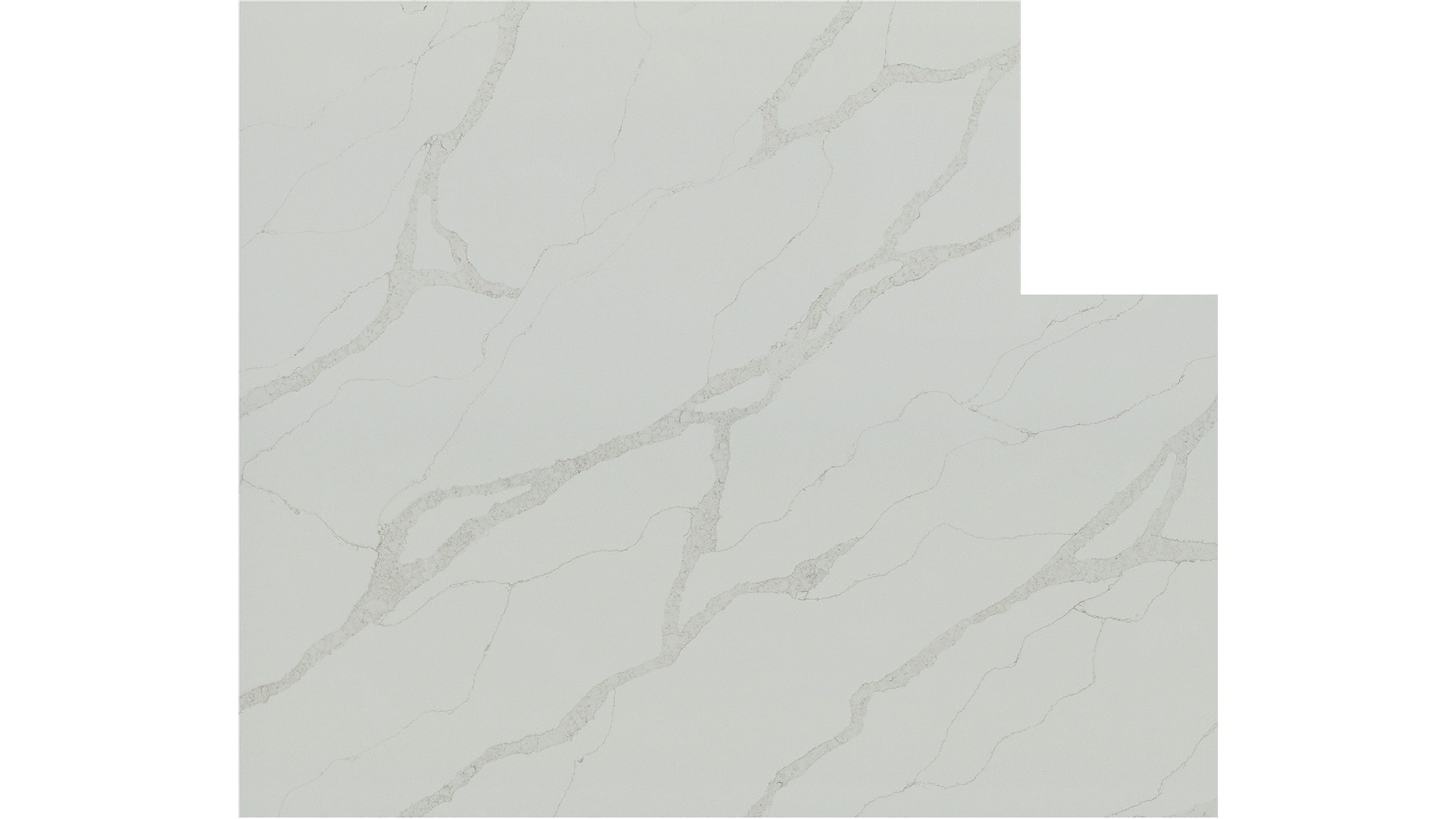 Calacatta Elysio Q Quartz Slabs