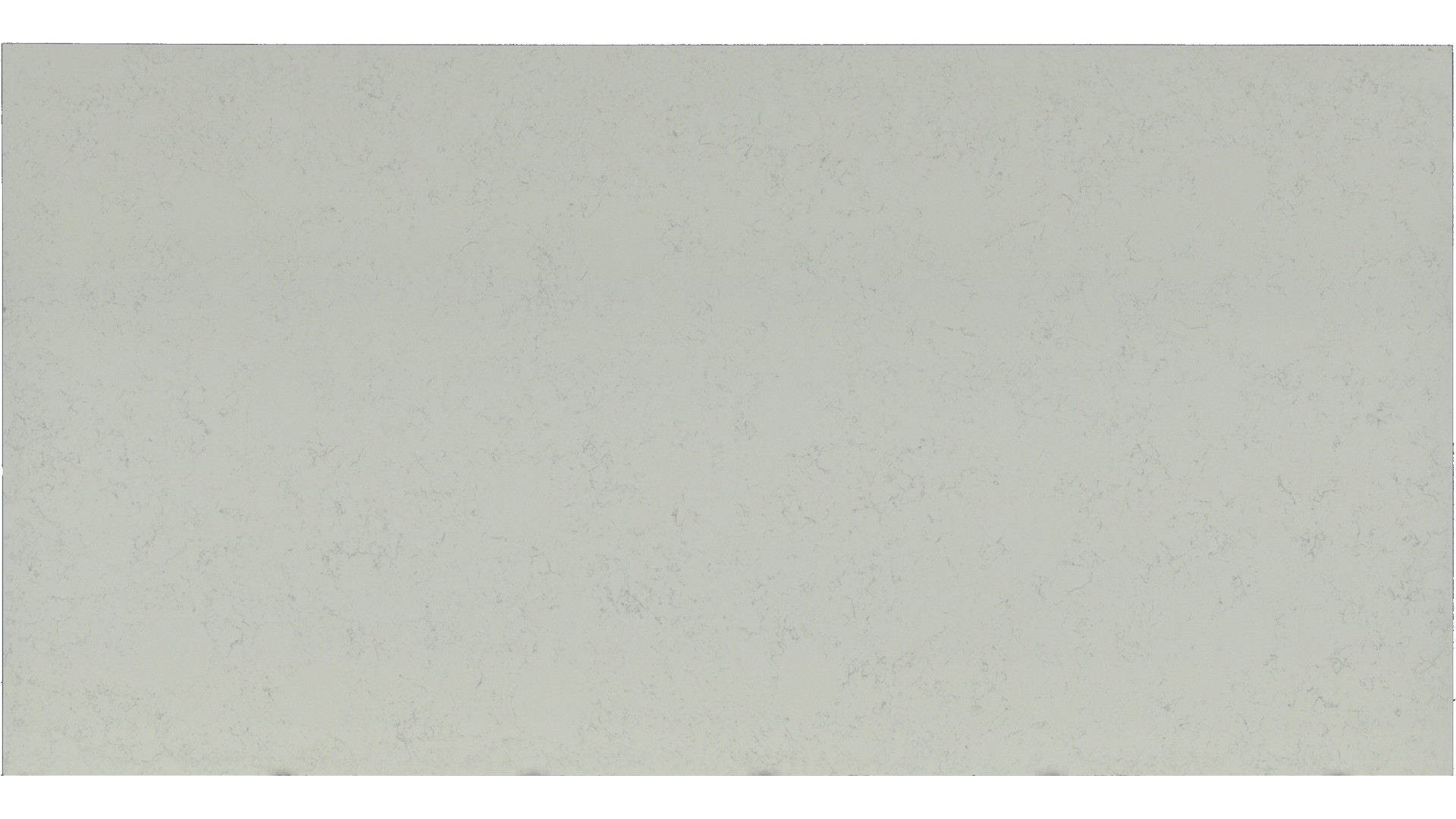 Calacatta Vicenza Q Quartz Slabs