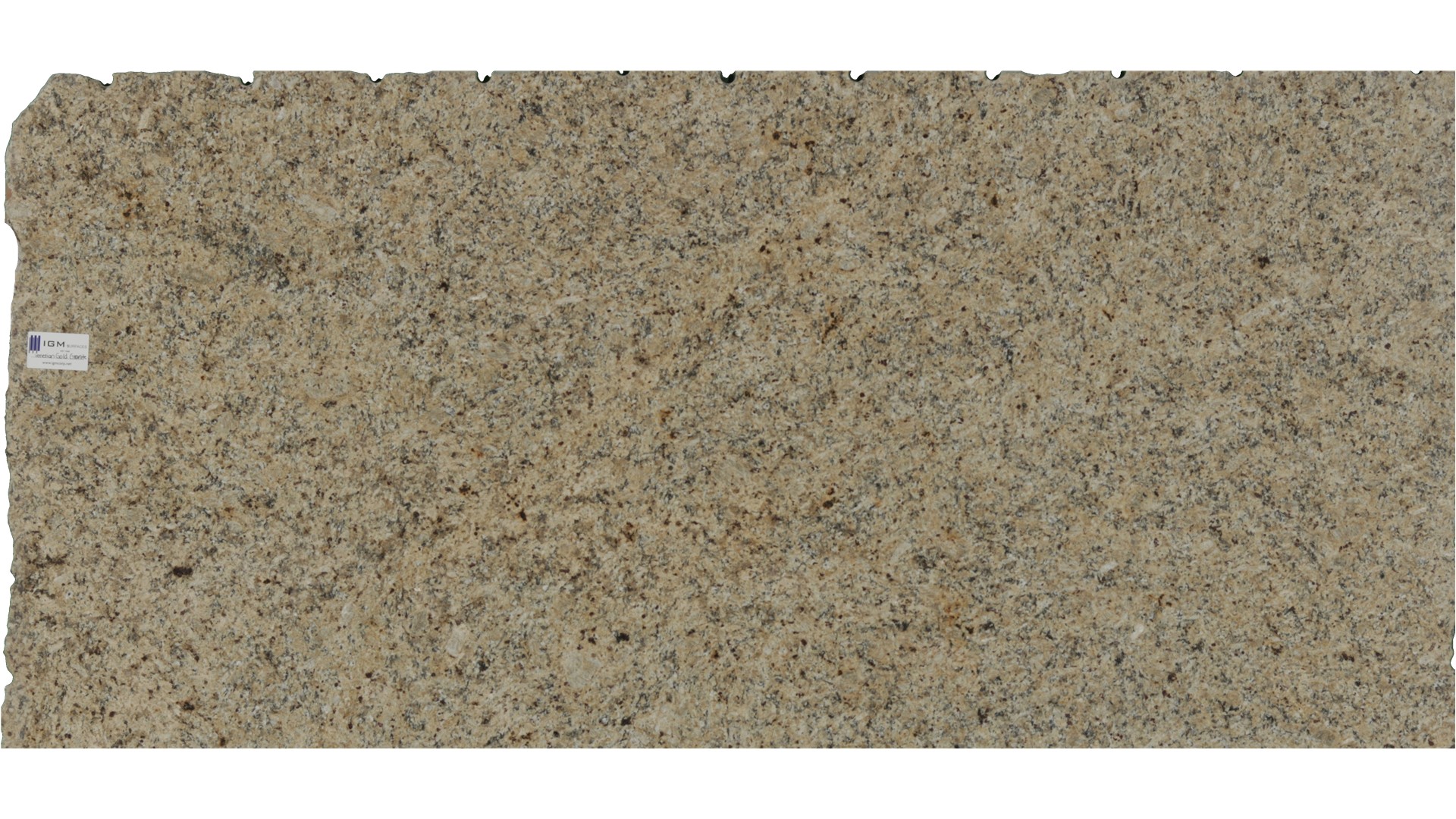 New Venetian Gold Granite Slabs