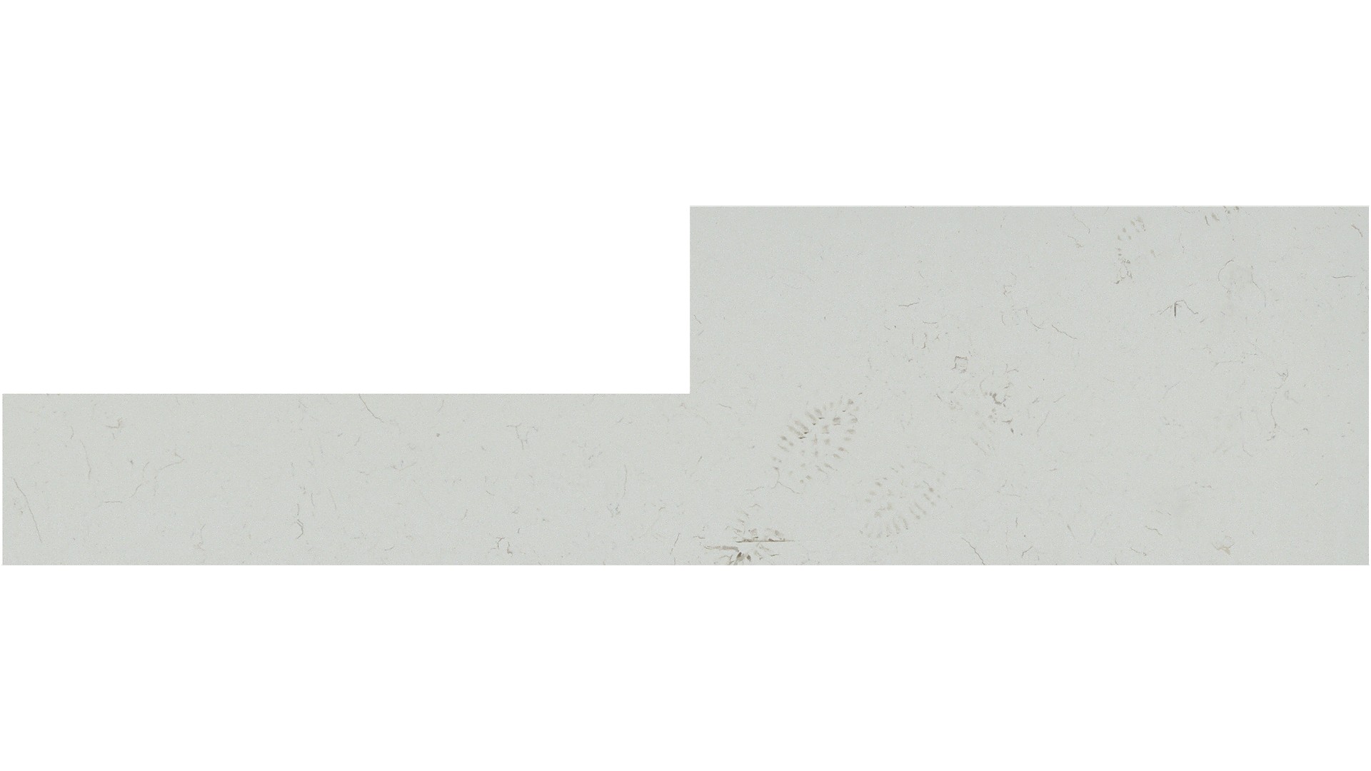 Carrara Miksa Q Quartz Slabs