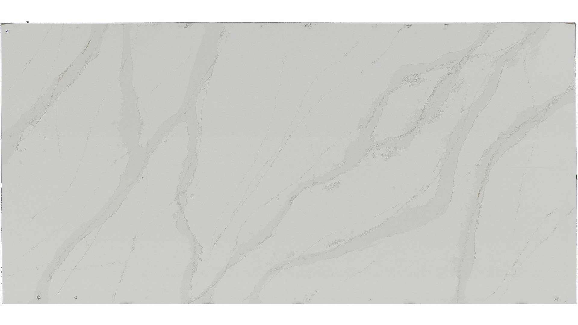 Calacatta Gold Silestone Slabs