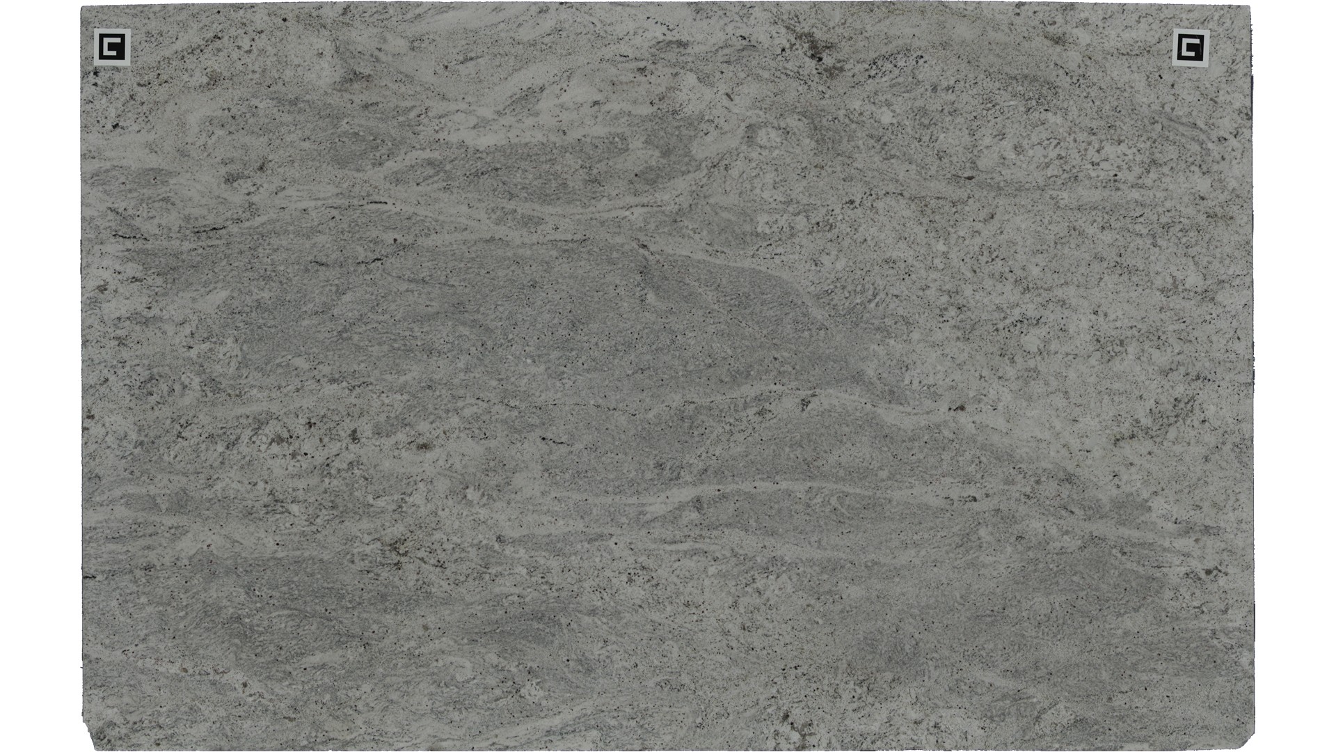 Salinas White  Granite Slabs