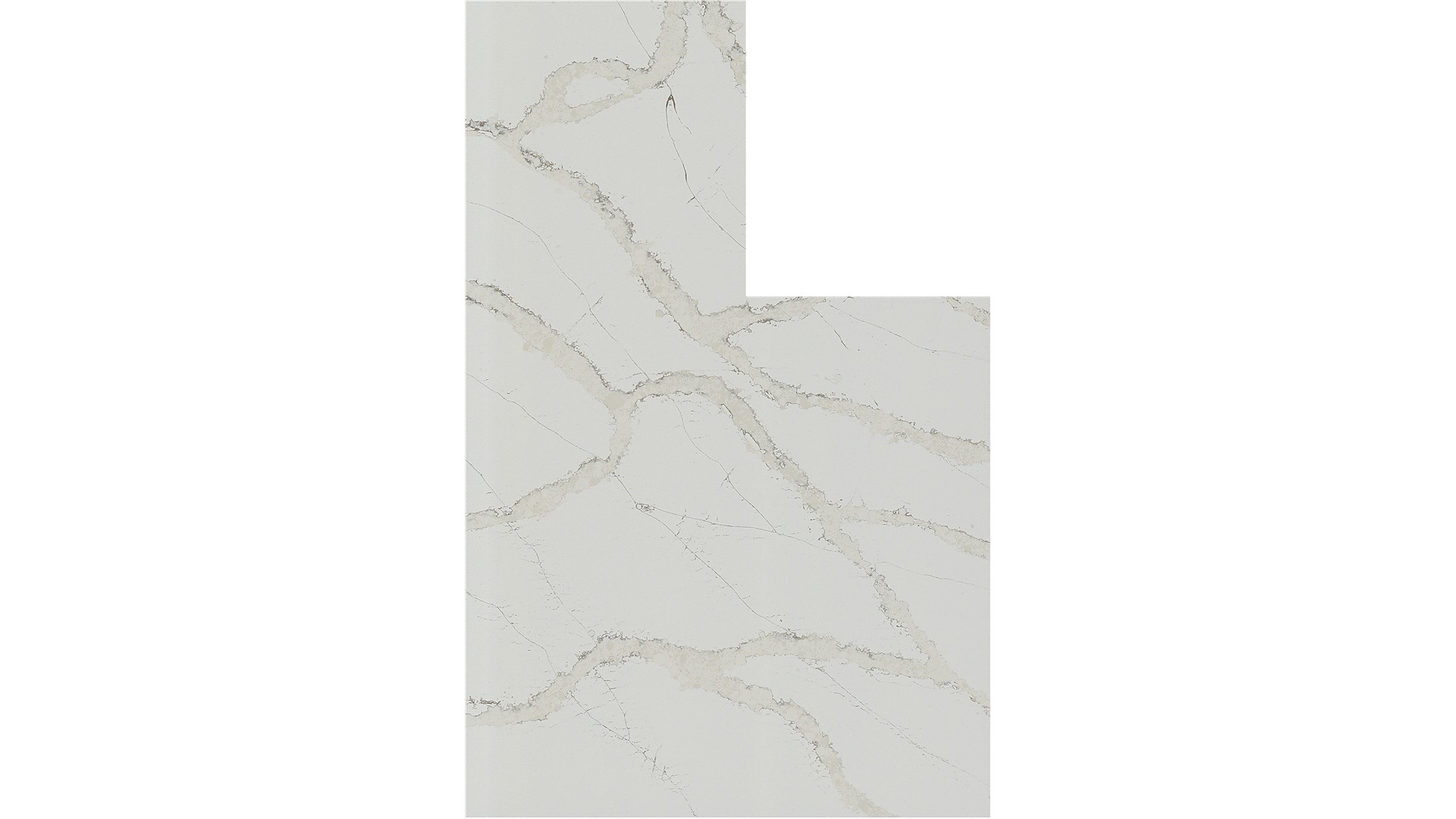 calacatta goa Q Quartz Slabs