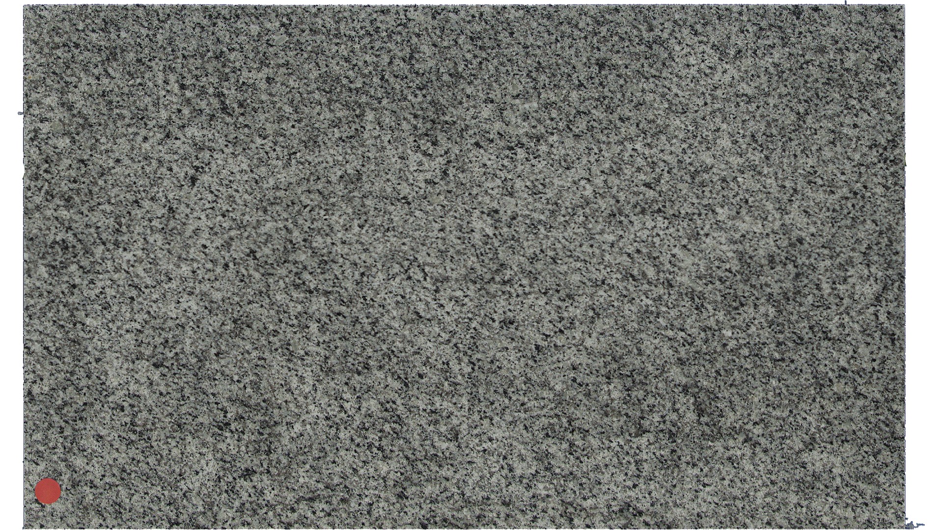 Luna Pearl Granite Slabs