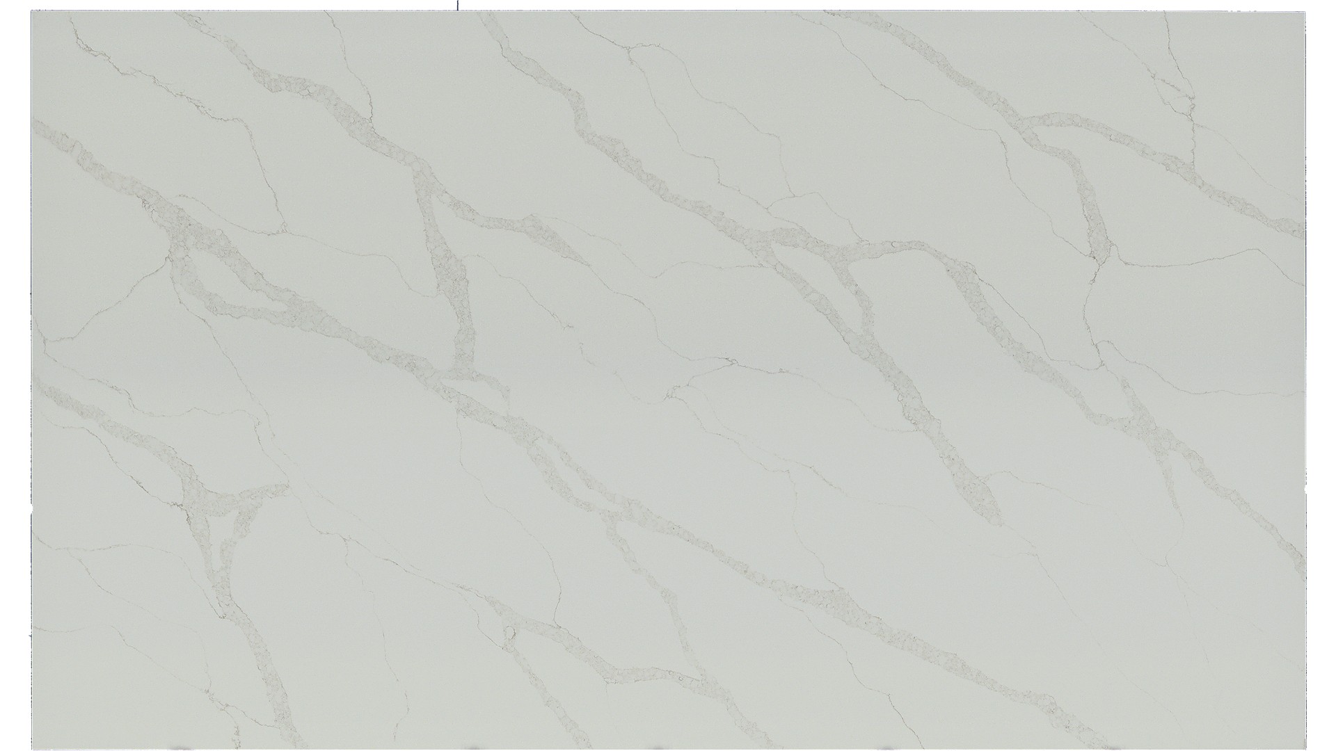 Calacatta Elysio Q Quartz Slabs