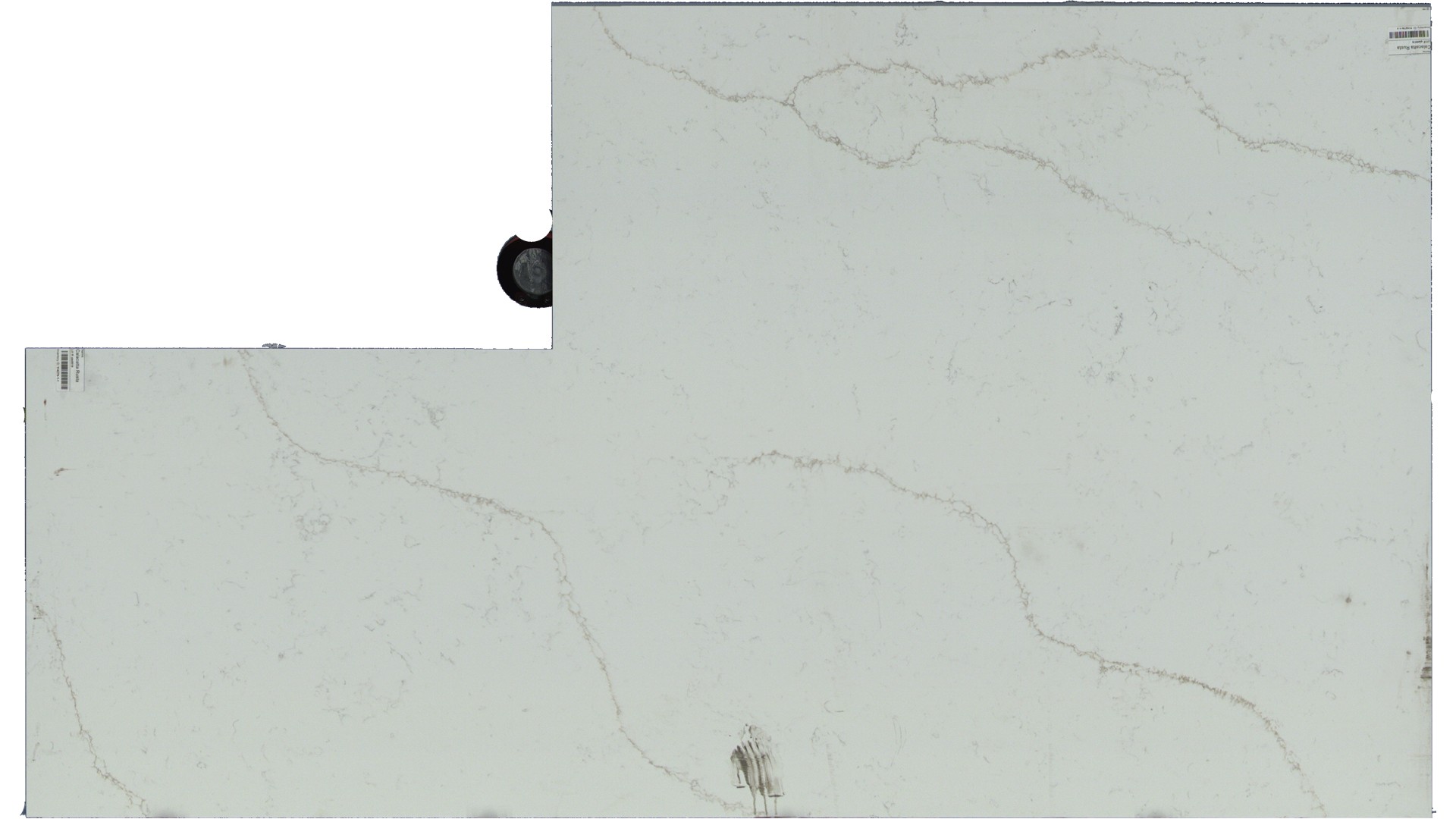 Calacatta Rusta Q Quartz Slabs