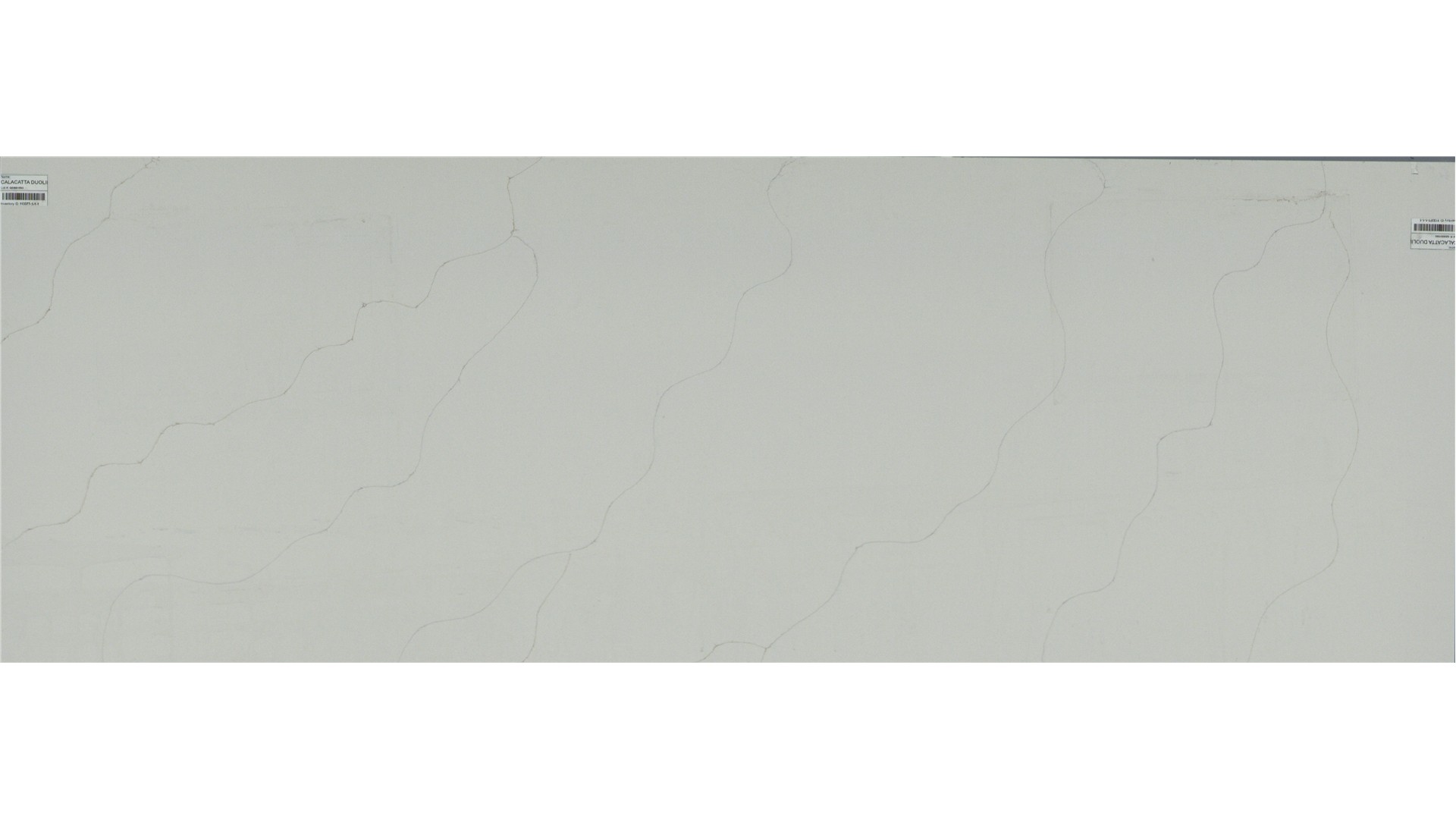 CALACATTA DUOLINA Q Quartz Slabs