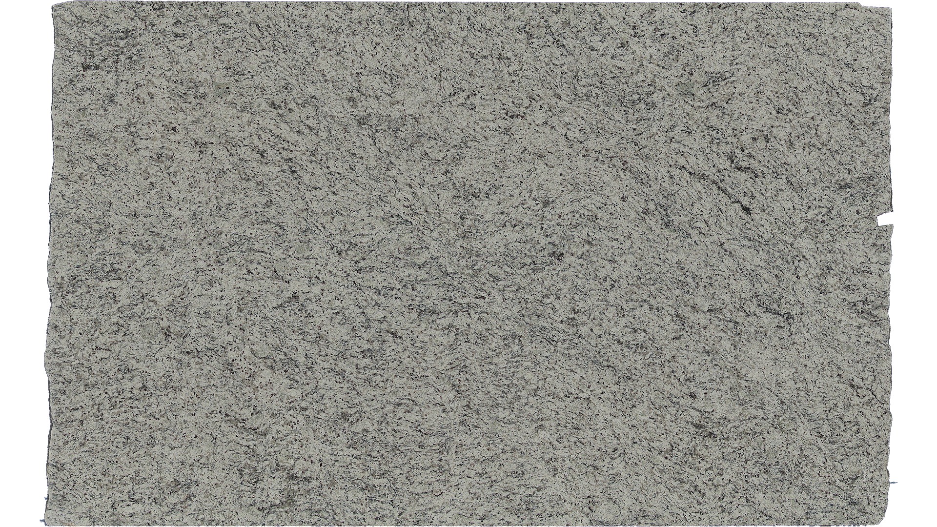White Dallas Granite Slabs