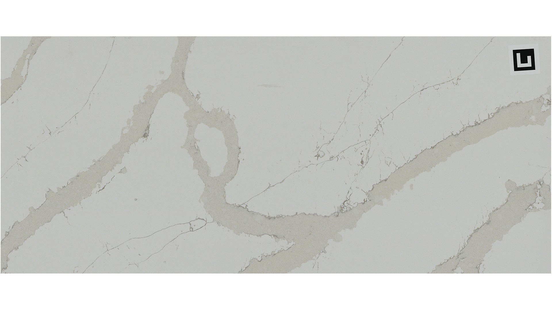 calacatta goa Q Quartz Slabs