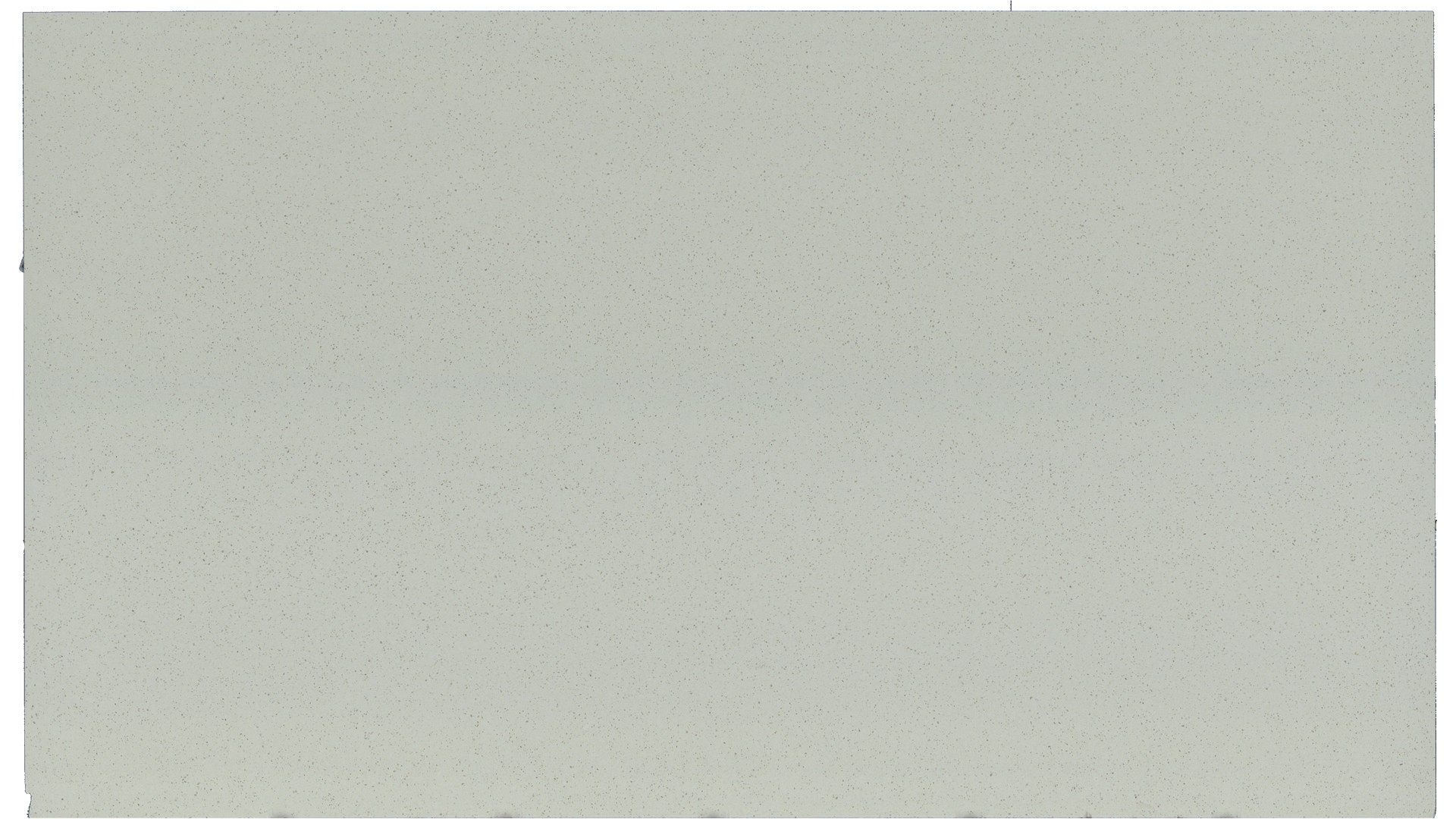 Iced White Q Quartz Slabs