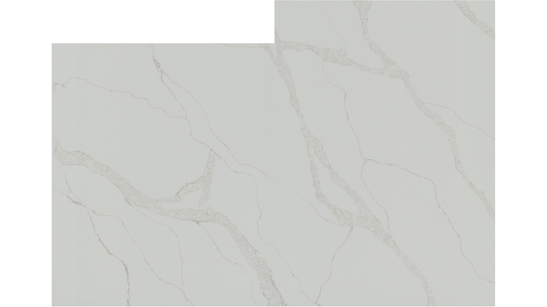 Calacatta Elysio Q Quartz Slabs