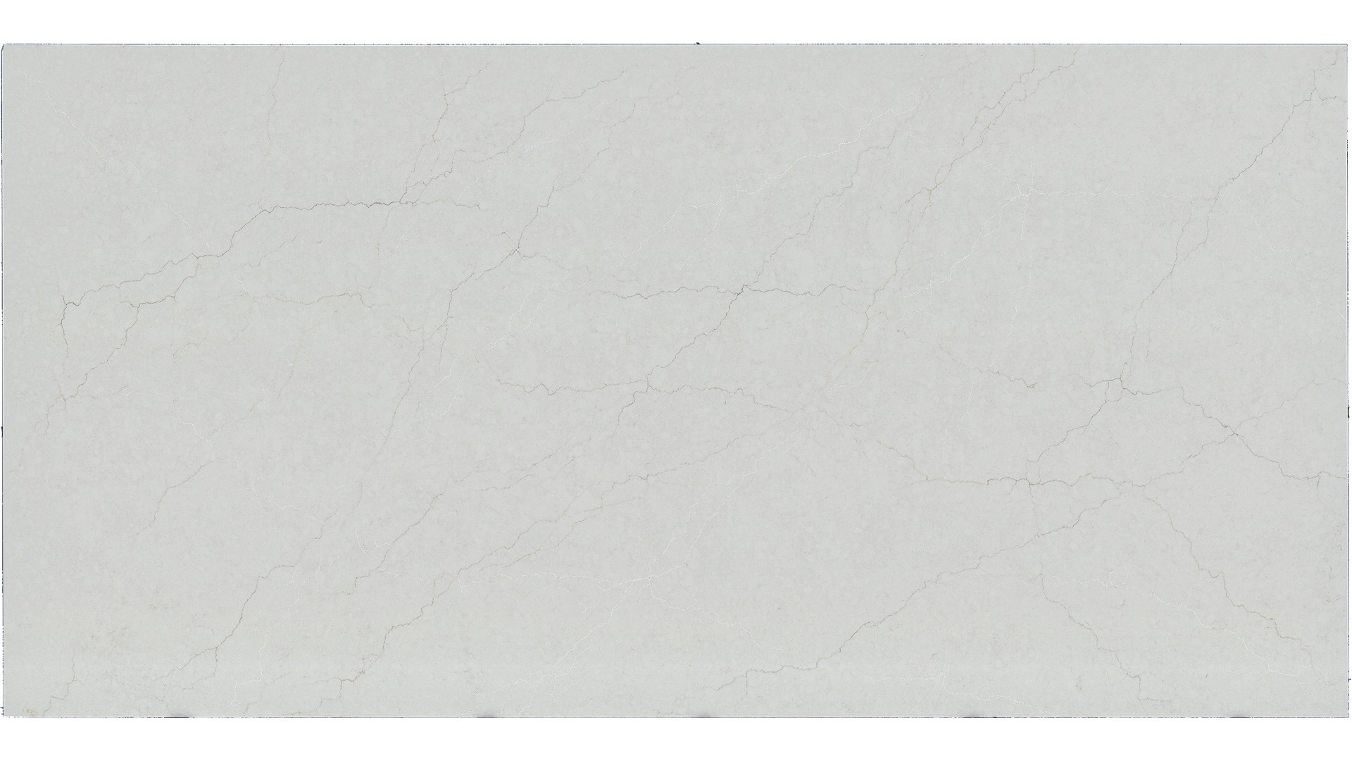 Calacatta Miraggio Cove Q Quartz Slabs