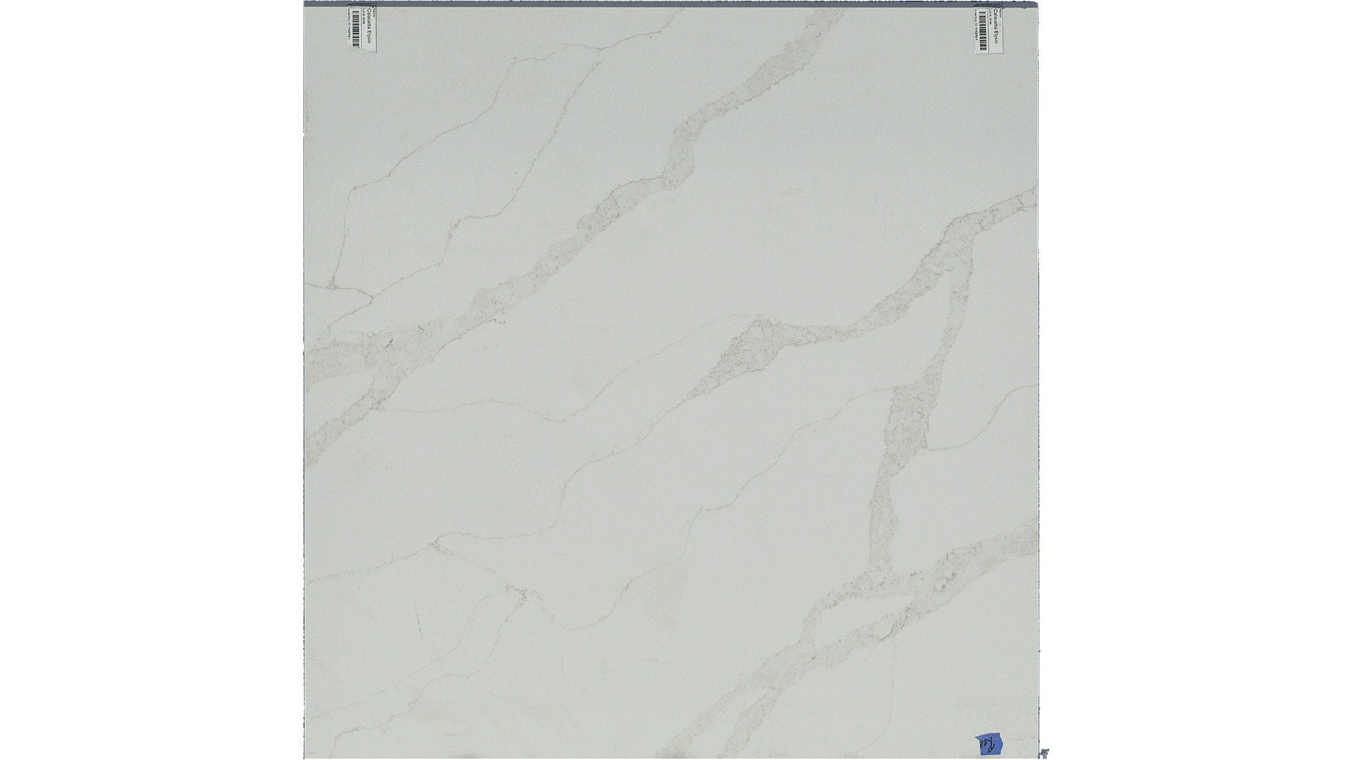 Calacatta Elysio Q Quartz Slabs