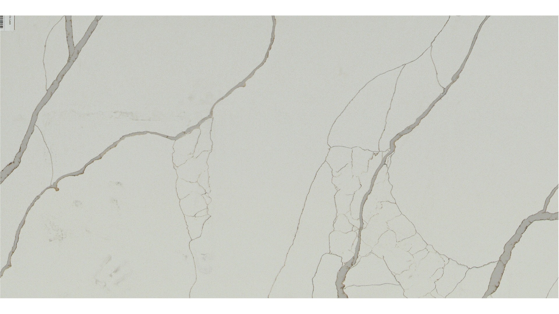 New Calacatta Laza  Q Quartz Slabs