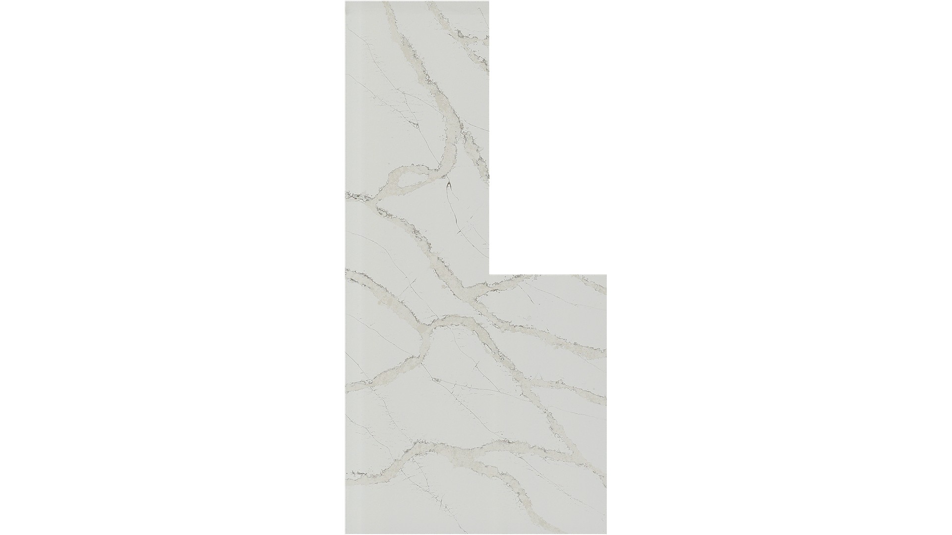 calacatta goa Q Quartz Slabs