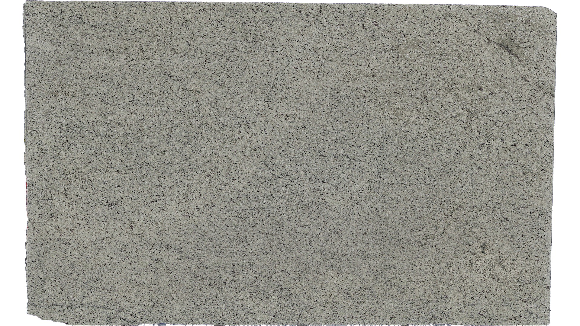 White Dallas Granite Slabs