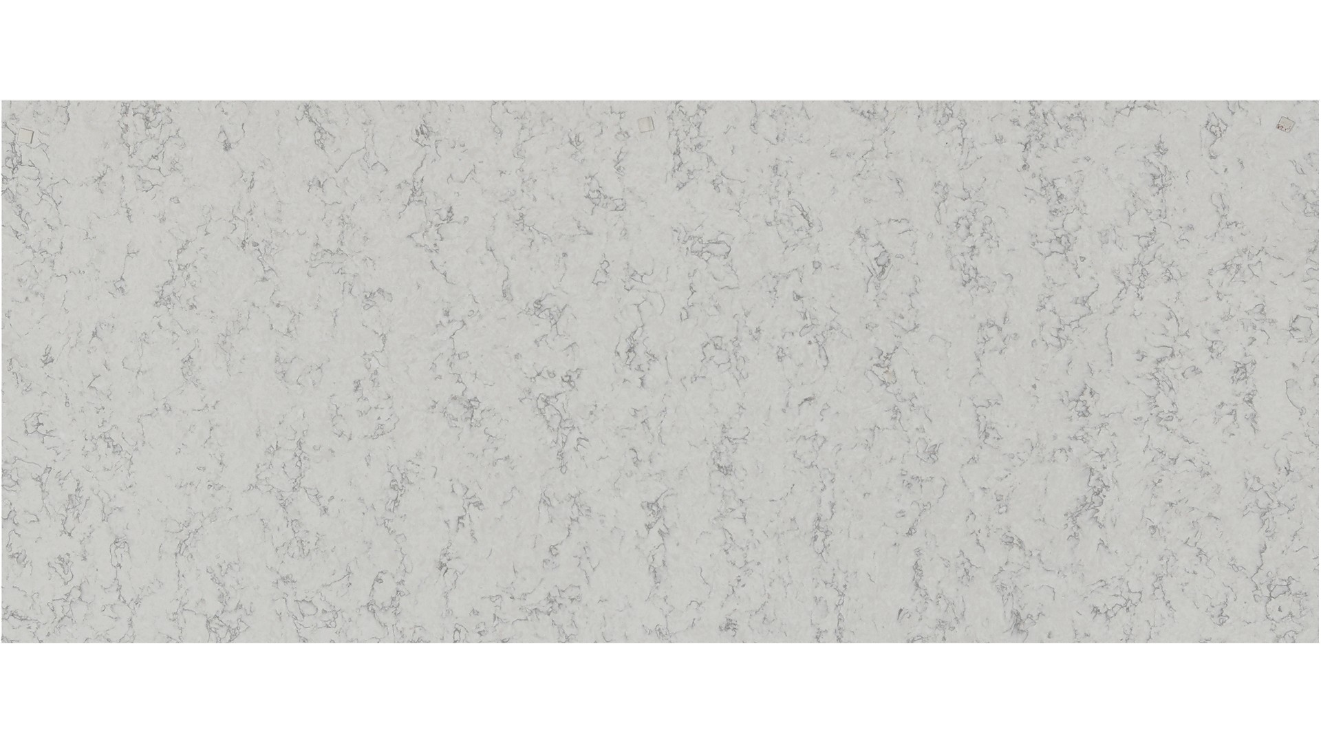 Blanca Arabescato Q Quartz Slabs