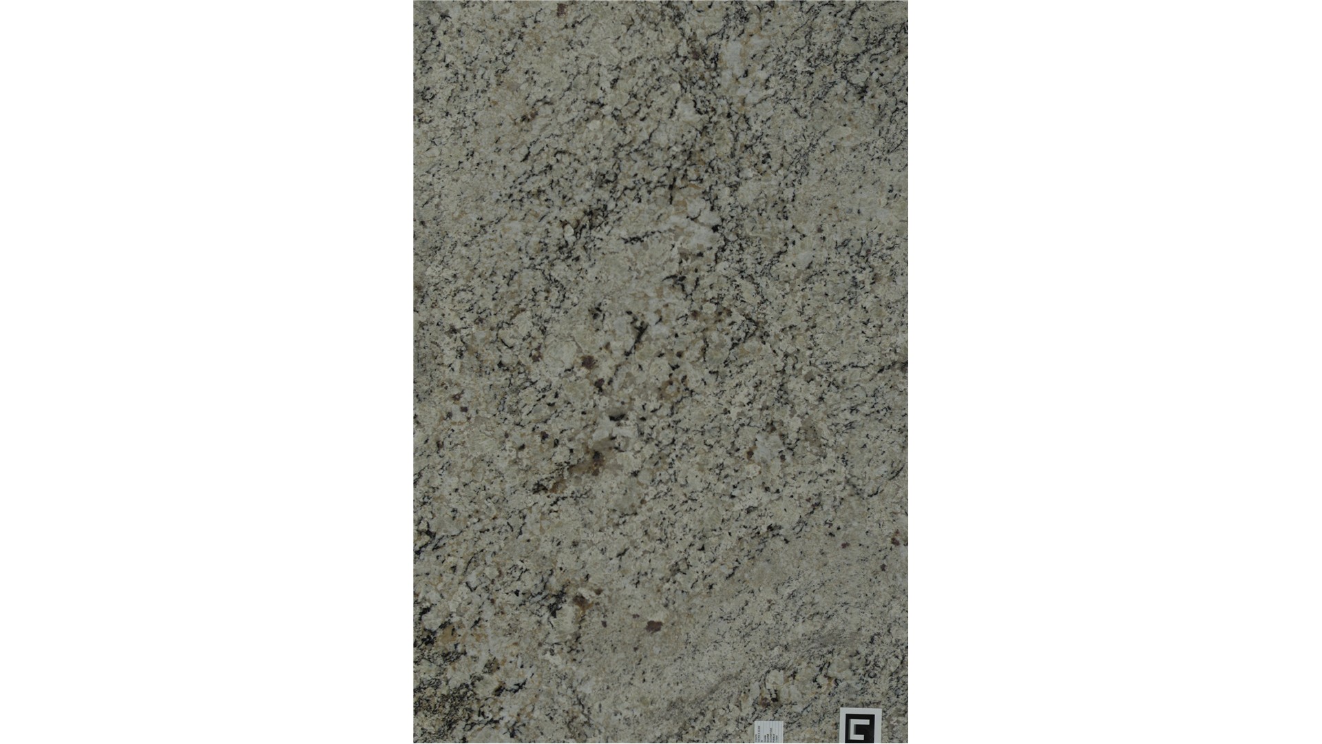 Snow Fall Granite Slabs