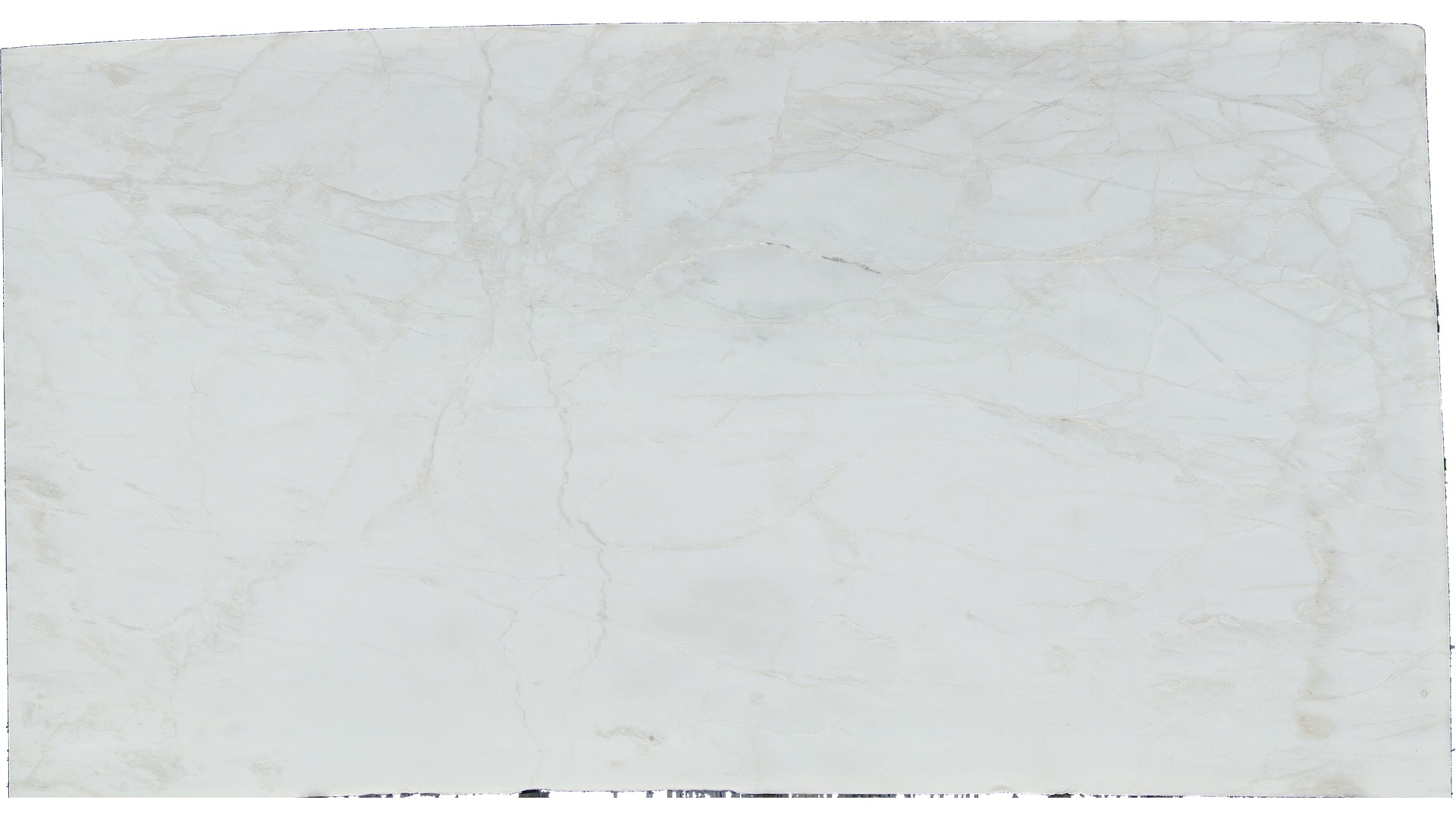 Calacatta Rhino Quartzite Slabs