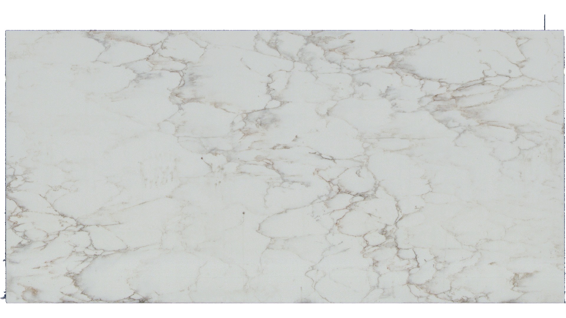 Calacatta Cinela Q Quartz Slabs