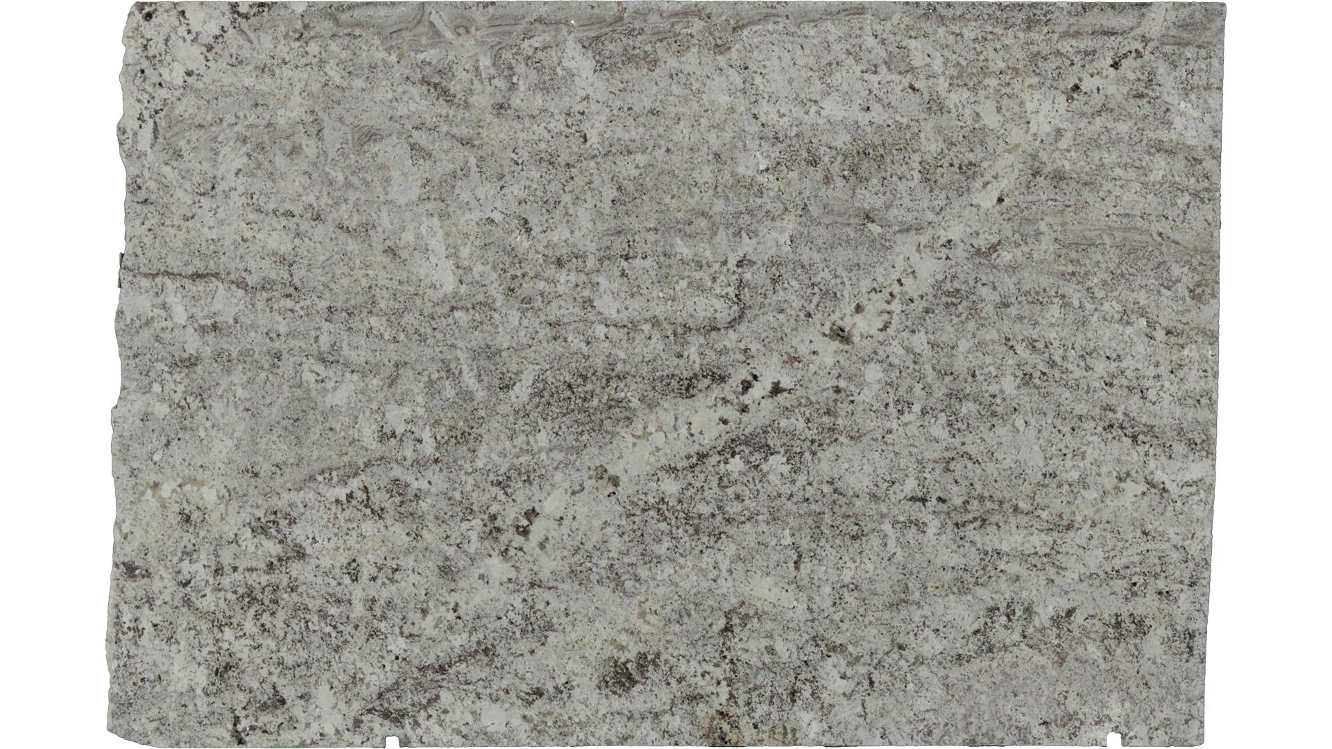 Alaska White  Granite Slabs