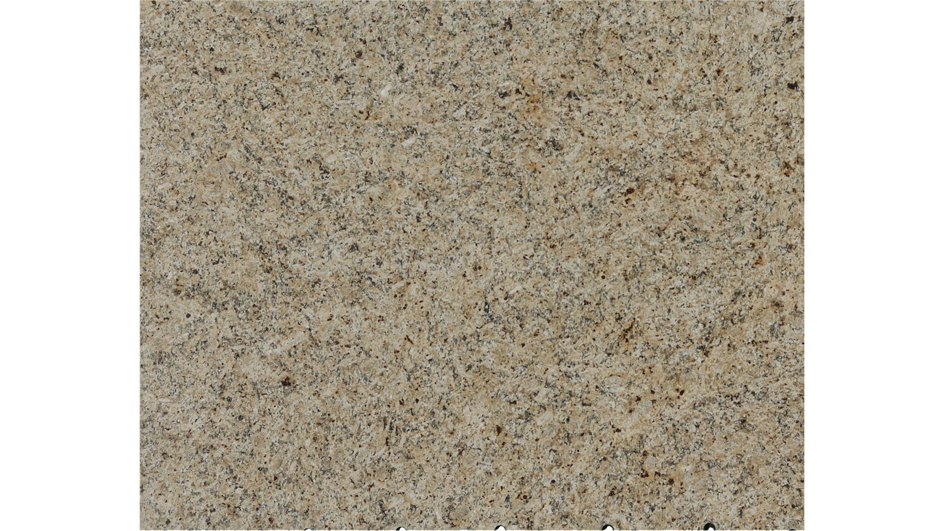 New Venetian Gold Granite Slabs