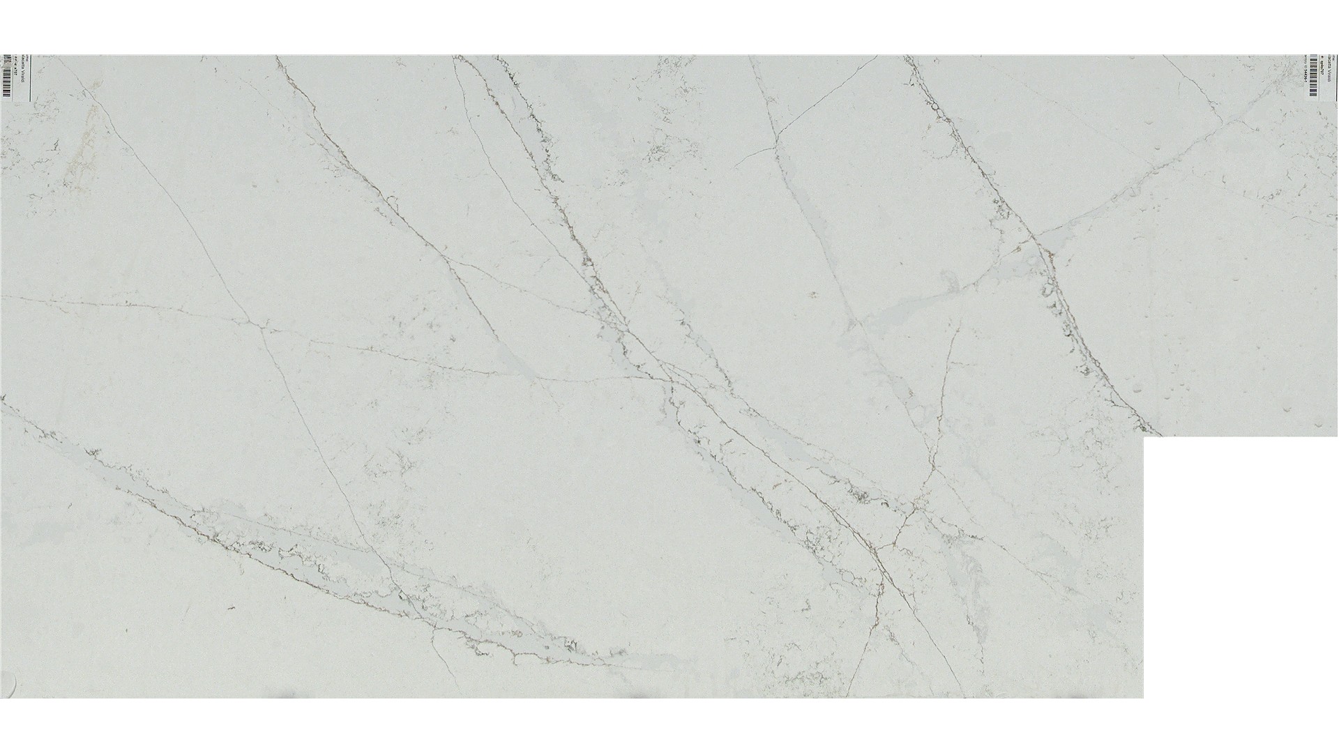 Calacatta Viraldi Q Quartz Slabs