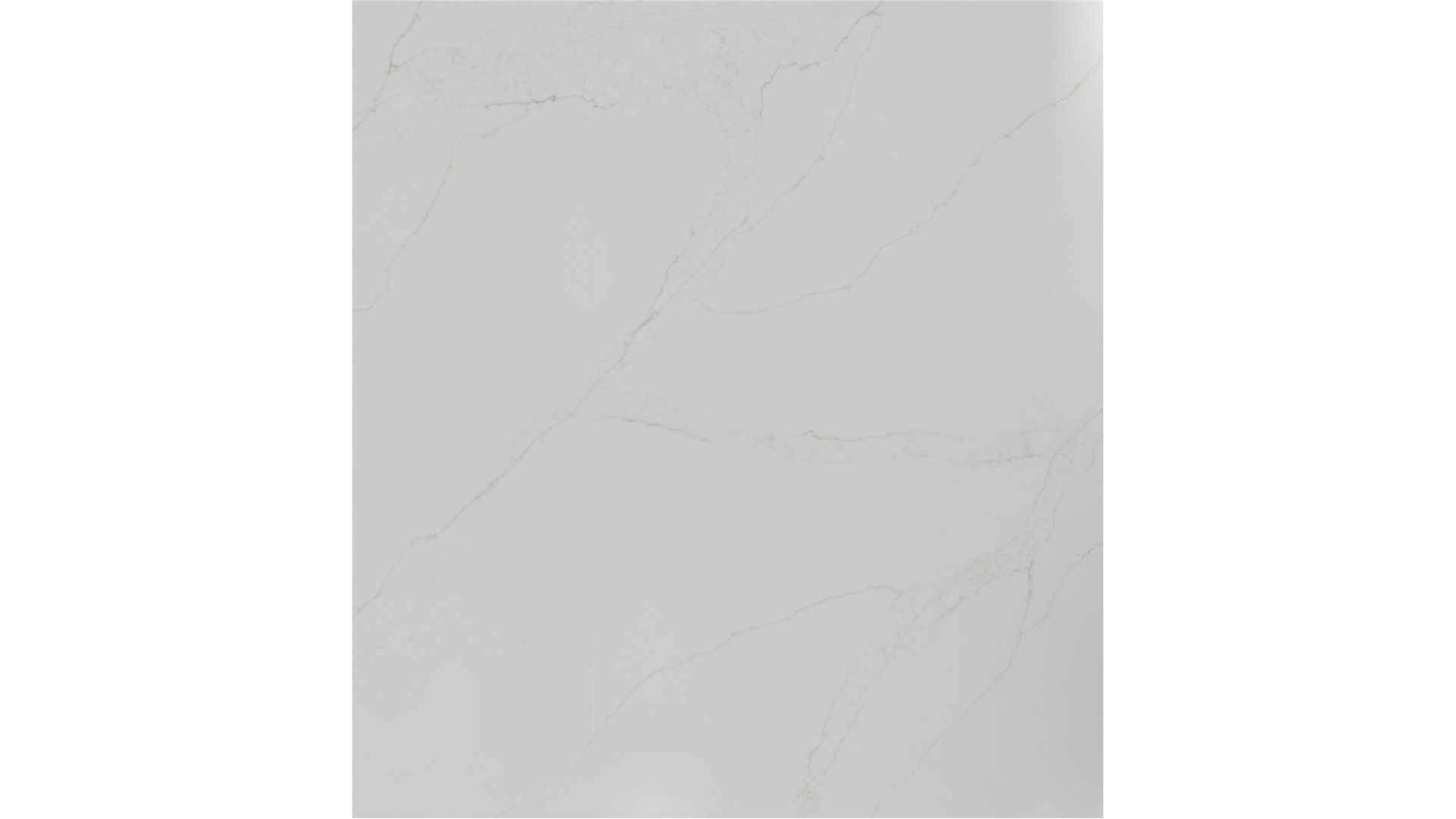 Calacatta Safyra Q Quartz Slabs