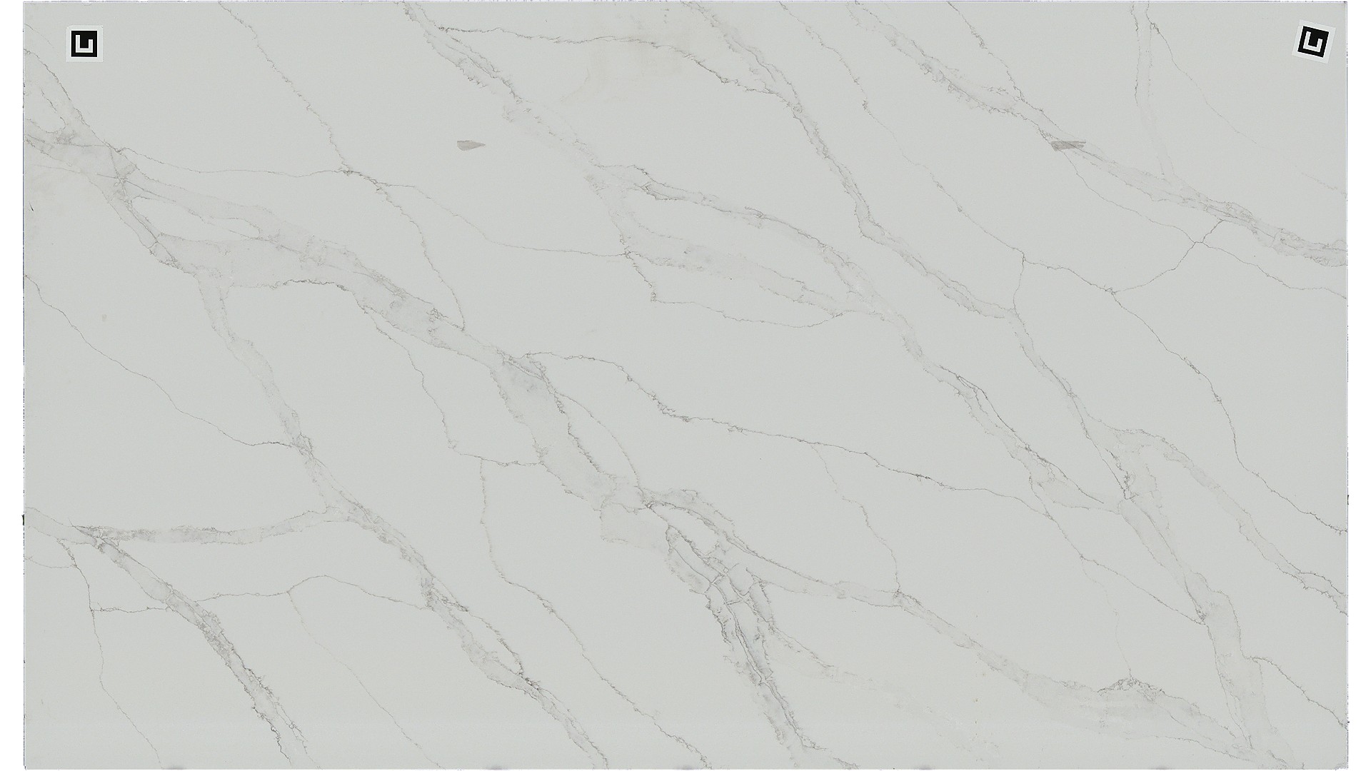 Calacatta Izaro Q Quartz Slabs