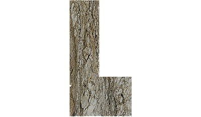 Tiger Dunes Granite