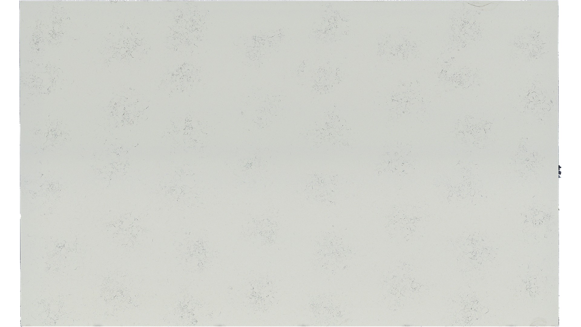 Carrara Marmi Q Quartz Slabs