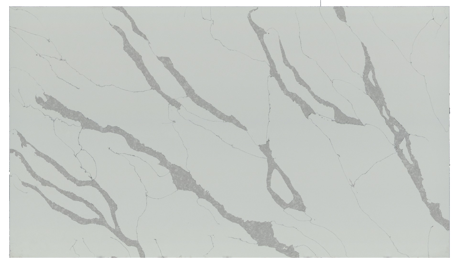 Calacatta Leon Q Quartz Slabs
