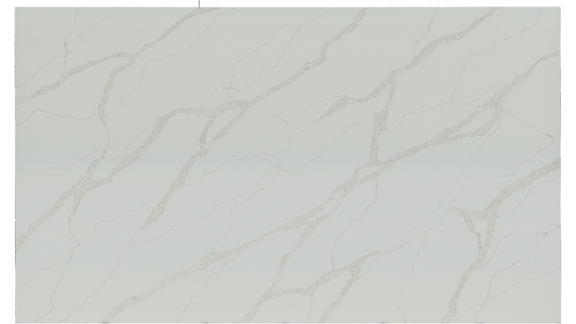 Calacatta Elysio Q Quartz Slabs