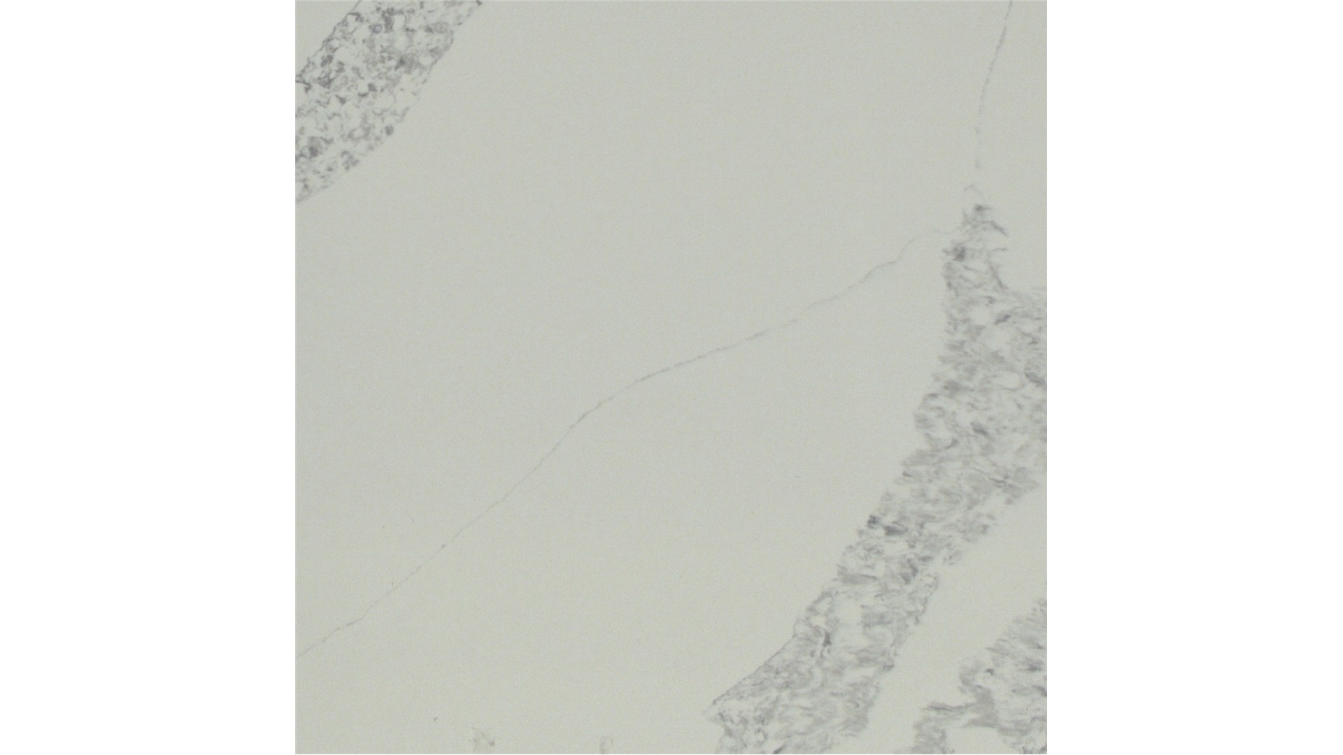 Calacatta Venice Q Quartz Slabs