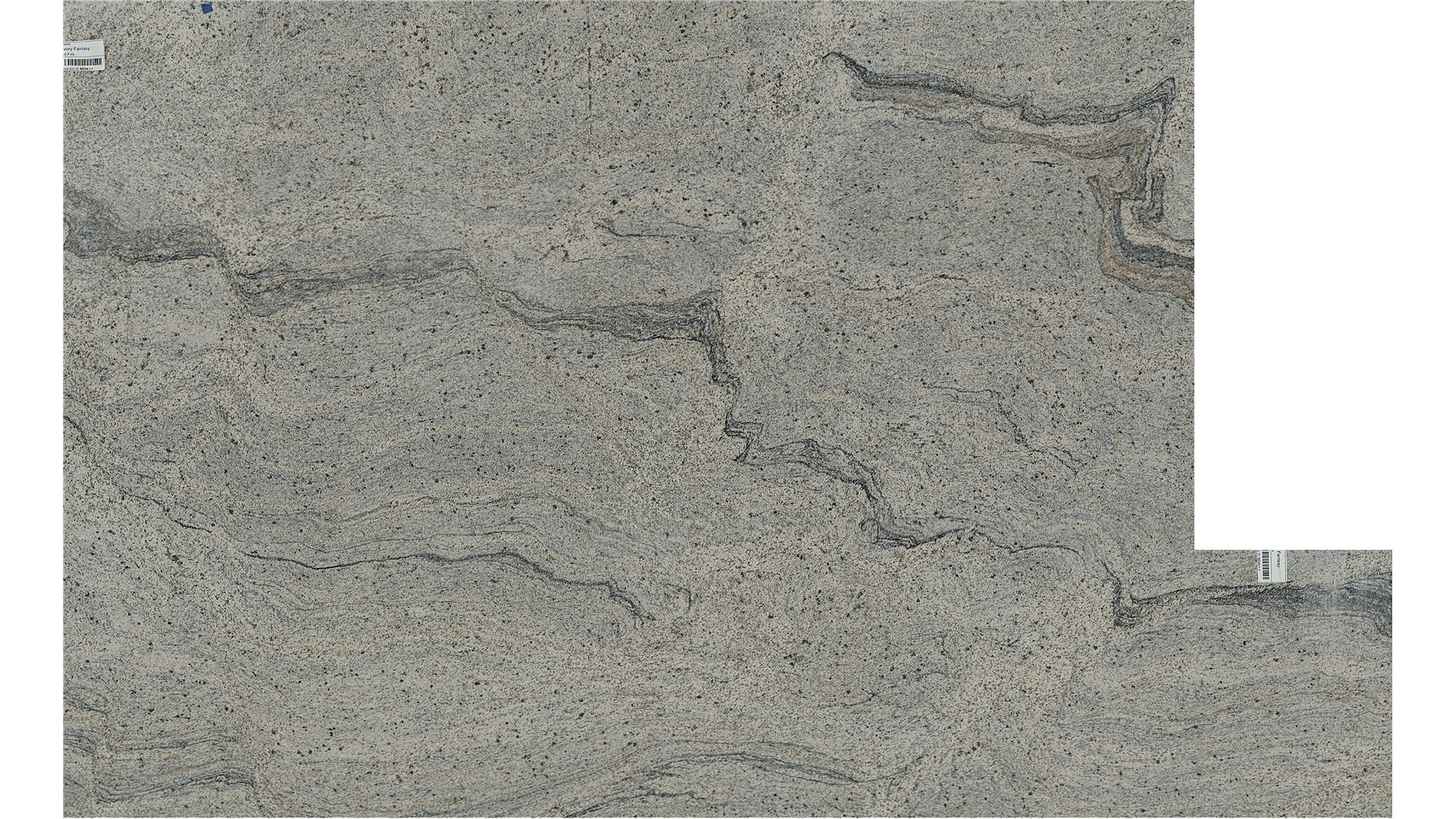 Ivory Fantasy Granite Slabs