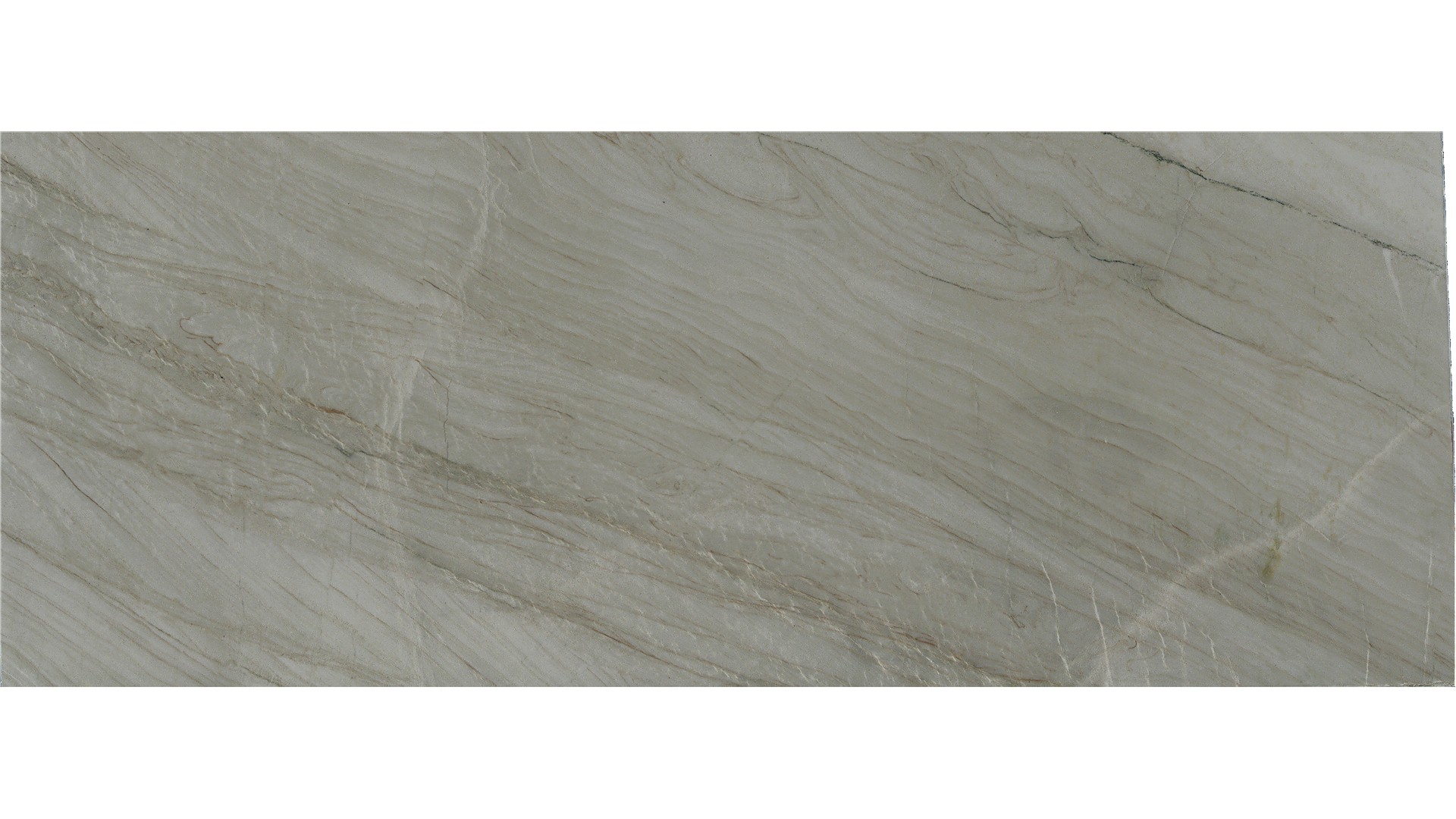 White Taj Quartzite Slabs