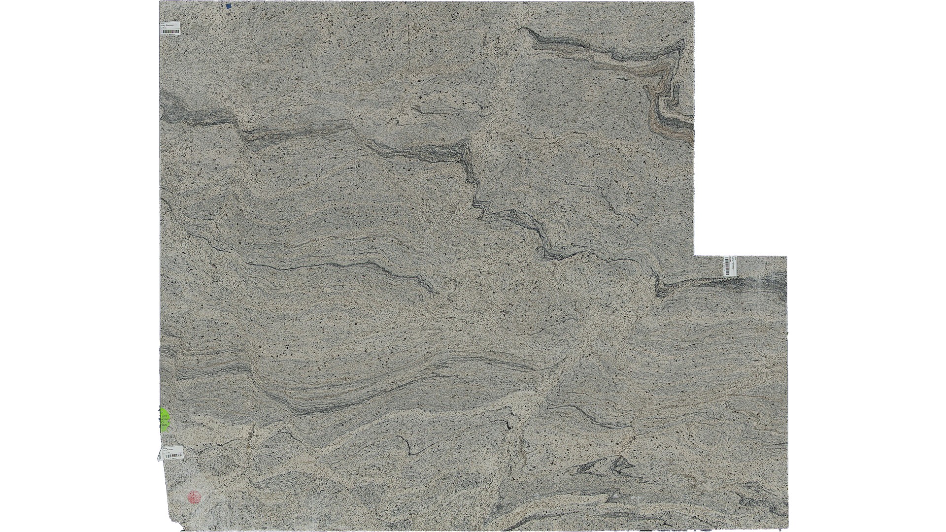 Ivory Fantasy Granite Slabs